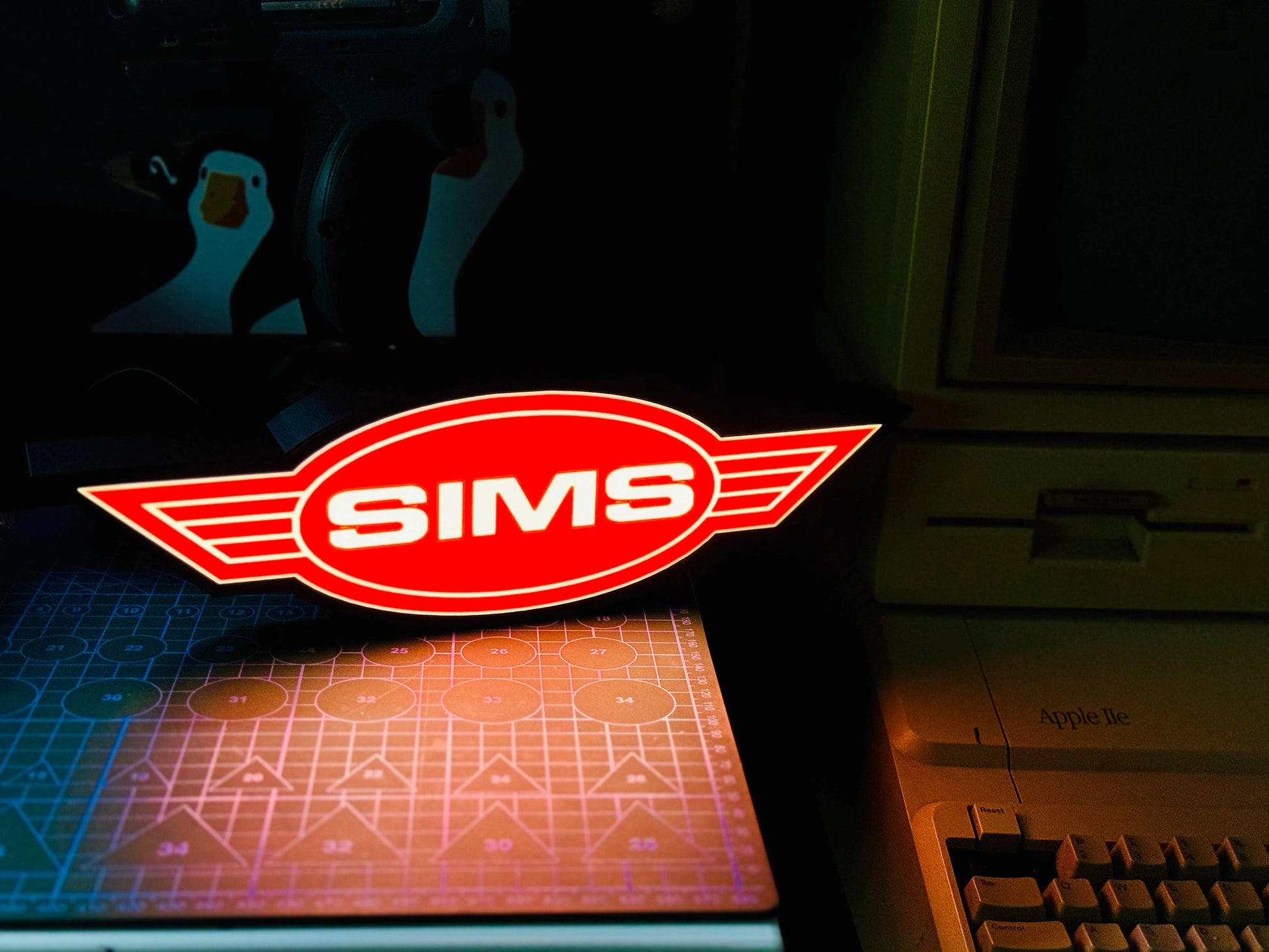 SIMS - Light up Logo / Sign - USB Powered - Michael's 3D World